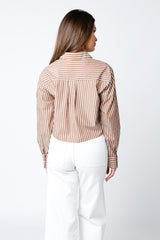 Button Down Crop Top in Brown Stripe