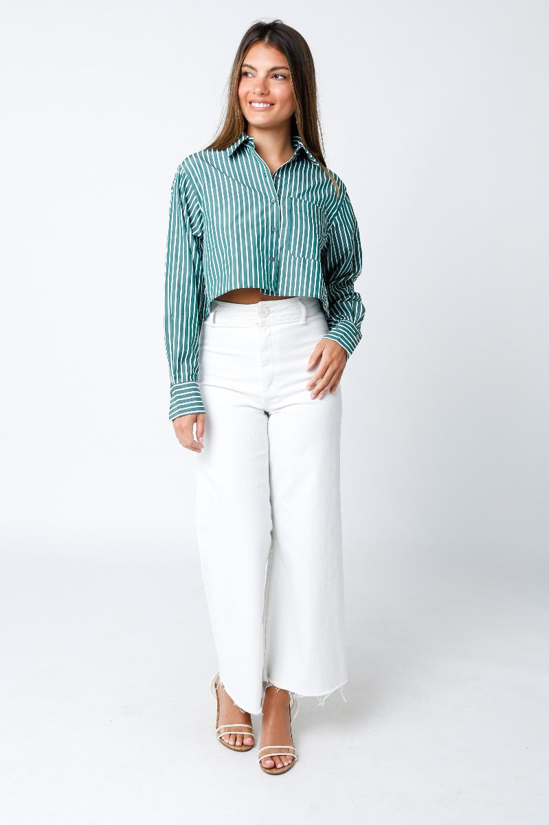 Button Down Crop Top in Green Stripe